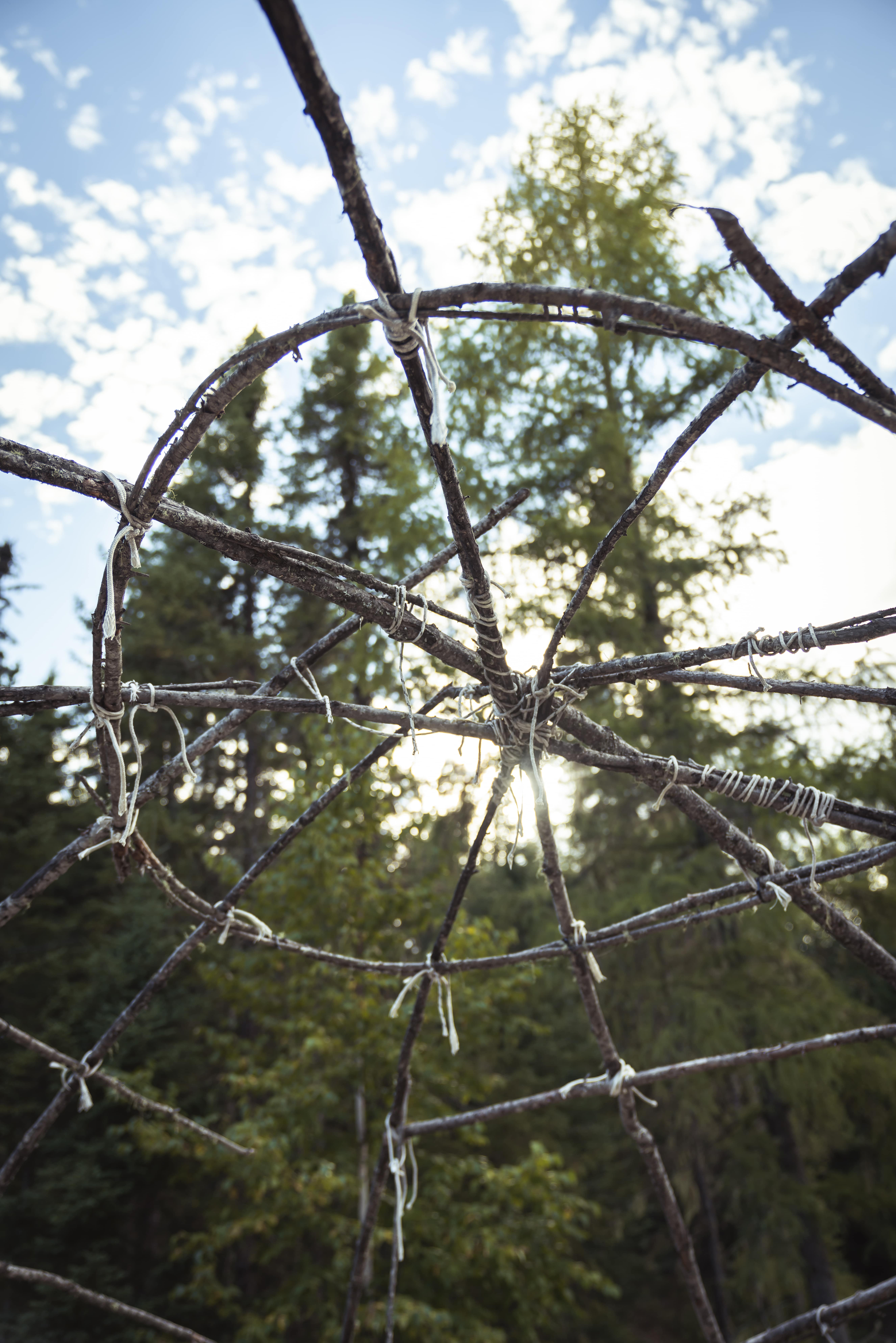 Structure circulaire faite de branches entrelacées, suspendue en forêt devant des conifères, évoquant un objet artisanal inspiré des traditions autochtones.