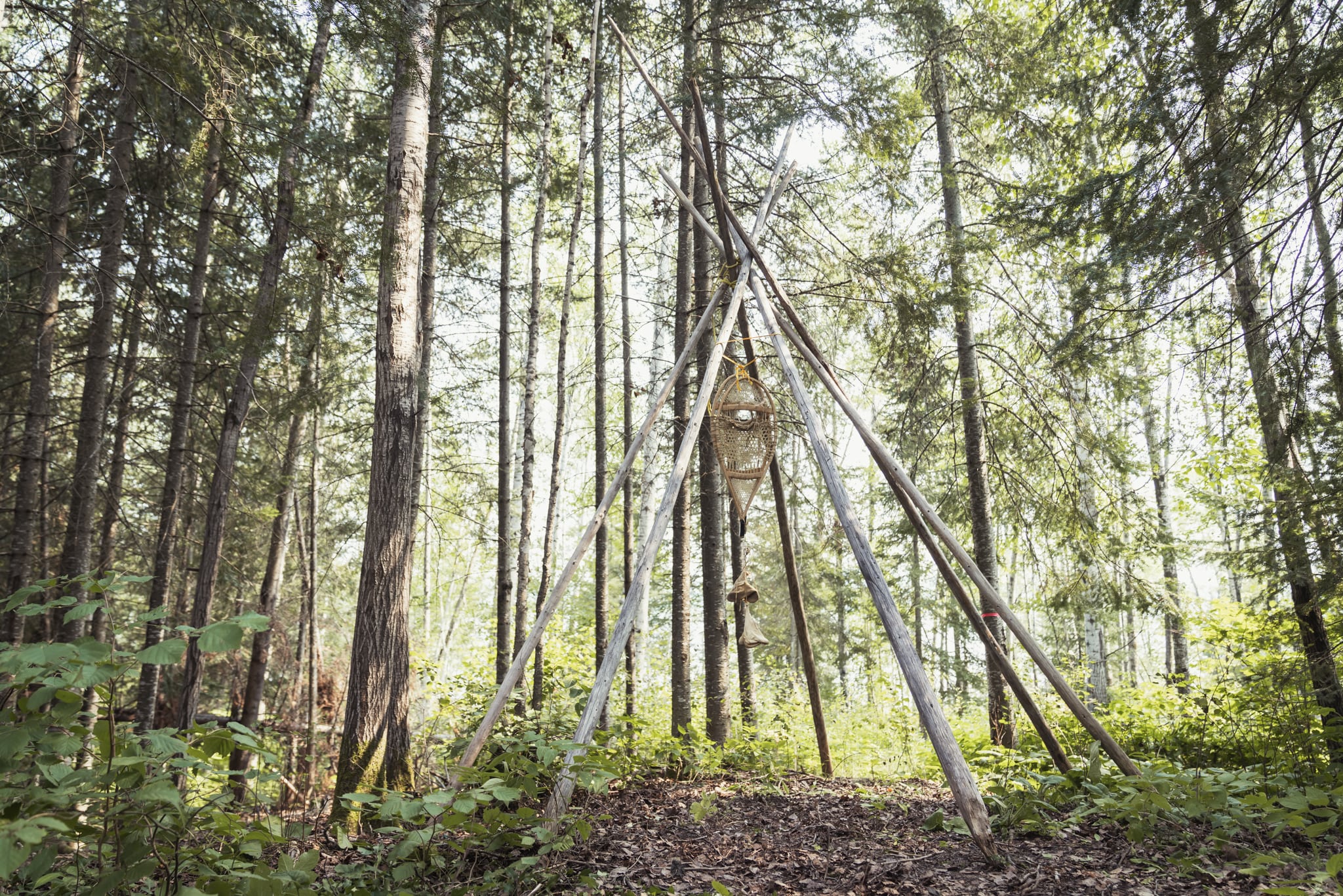 Installation en bois dans un cadre forestier, réalisée lors d’un rassemblement jeunesse organisé par le RCAAQ.