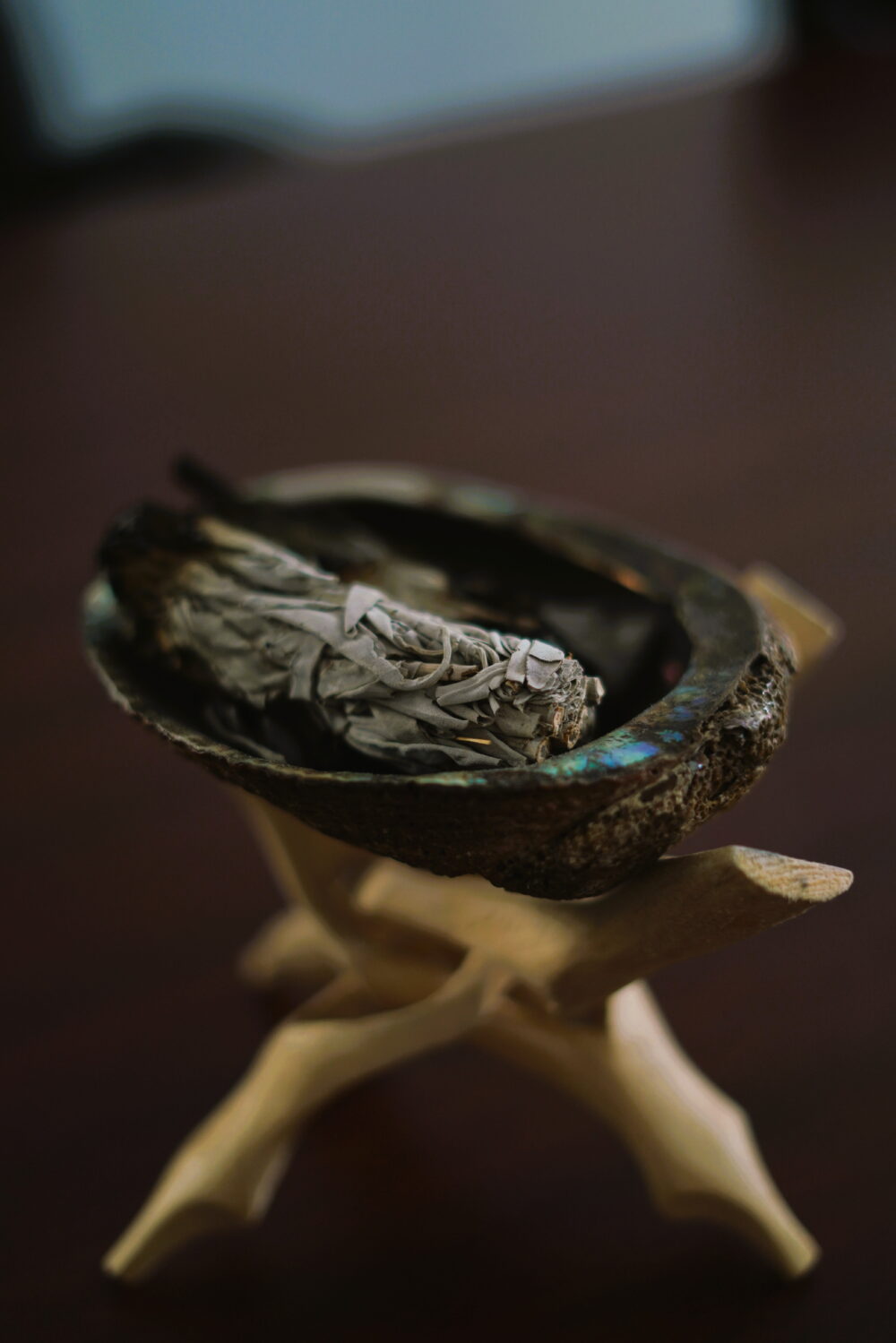 Coquille d'ormeau contenant de la sauge séchée, symbolisant les savoirs traditionnels, la spiritualité et le lien au territoire.